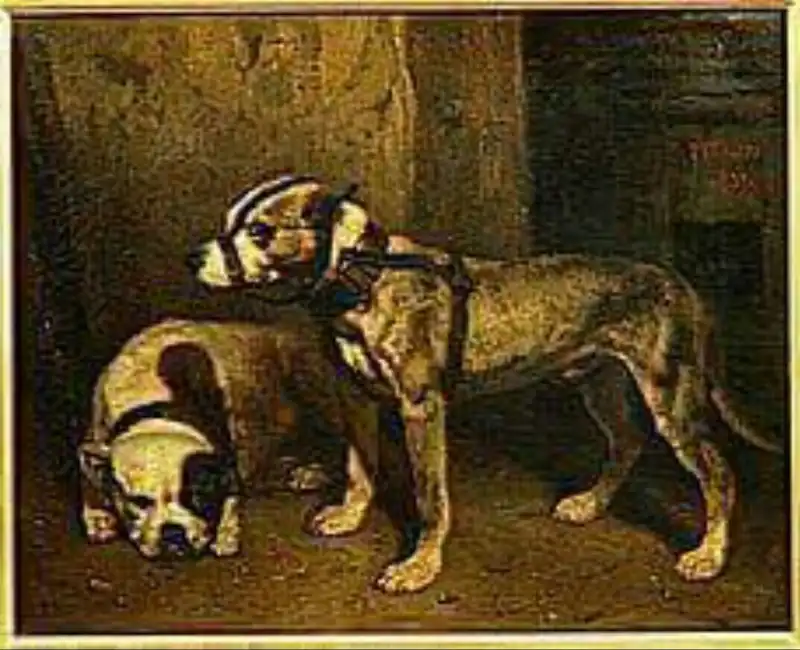Imagen de los antiguos Bull and Terriers